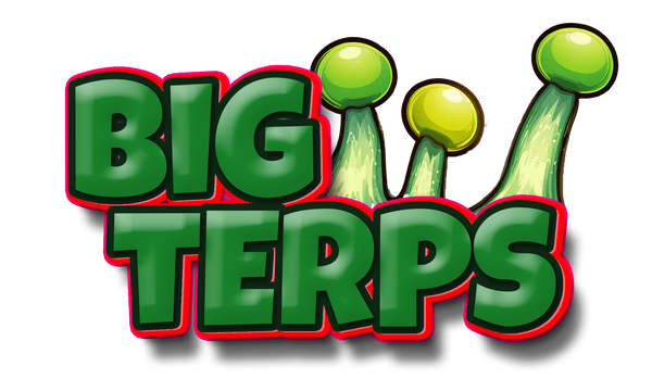 BigTerps